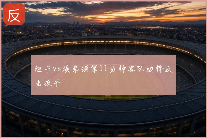 纽卡vs埃弗顿第11分钟客队边锋反击扳平